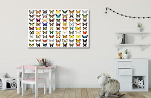 Pine Stretched  Framed 1 Panel  - Kids Room - Butterflies