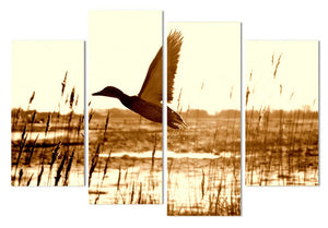 Framed 4 Panels - Take off