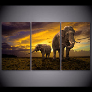 Framed Framed 3 Panels  - Elephants