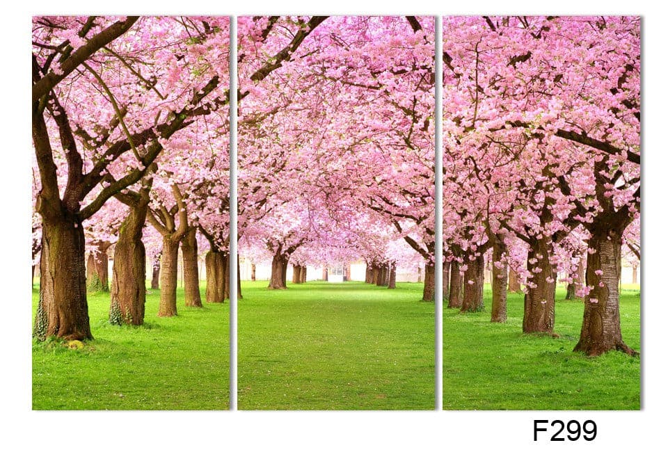 Pine Stretched  Framed 3 Panels - Cherry Blossoms