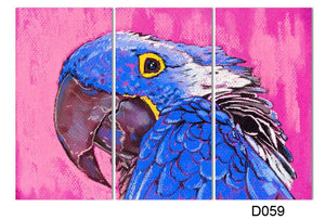 Framed 3 Panels - Parrot