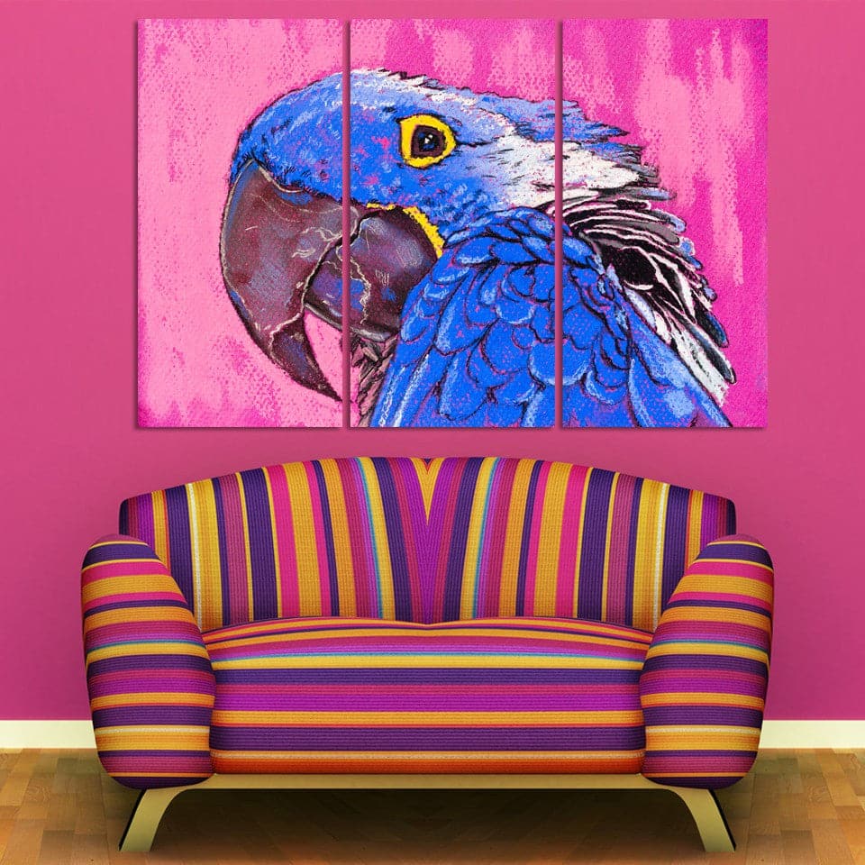 Framed 3 Panels - Parrot