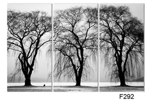 Framed 3 Panels  - Tree