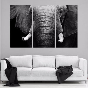 Framed 3 Panels  - Elephant