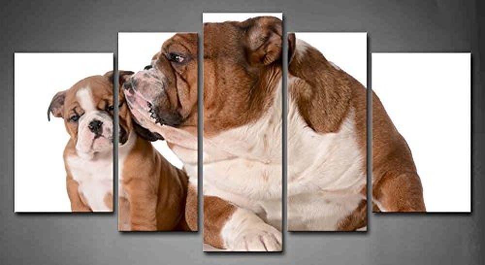 Framed 5 Panels - Bulldogs