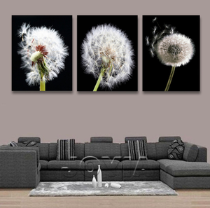Framed 3 Panels - Dandelion