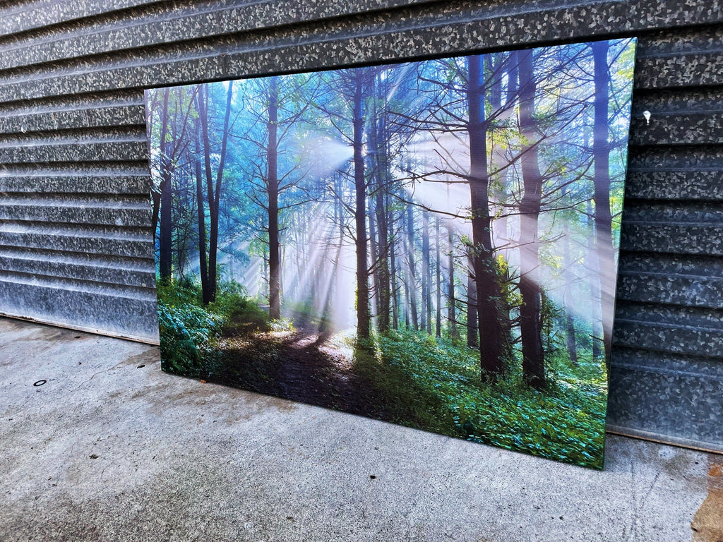 Pine Stretched  Framed 1 Panel - Finished Products