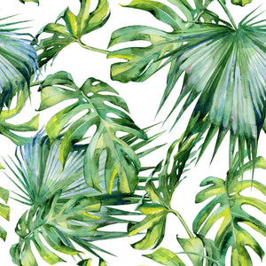 monstera deliciosa botanical print Modern Botanical Canvas Wall Art Print Poster | Home Decor