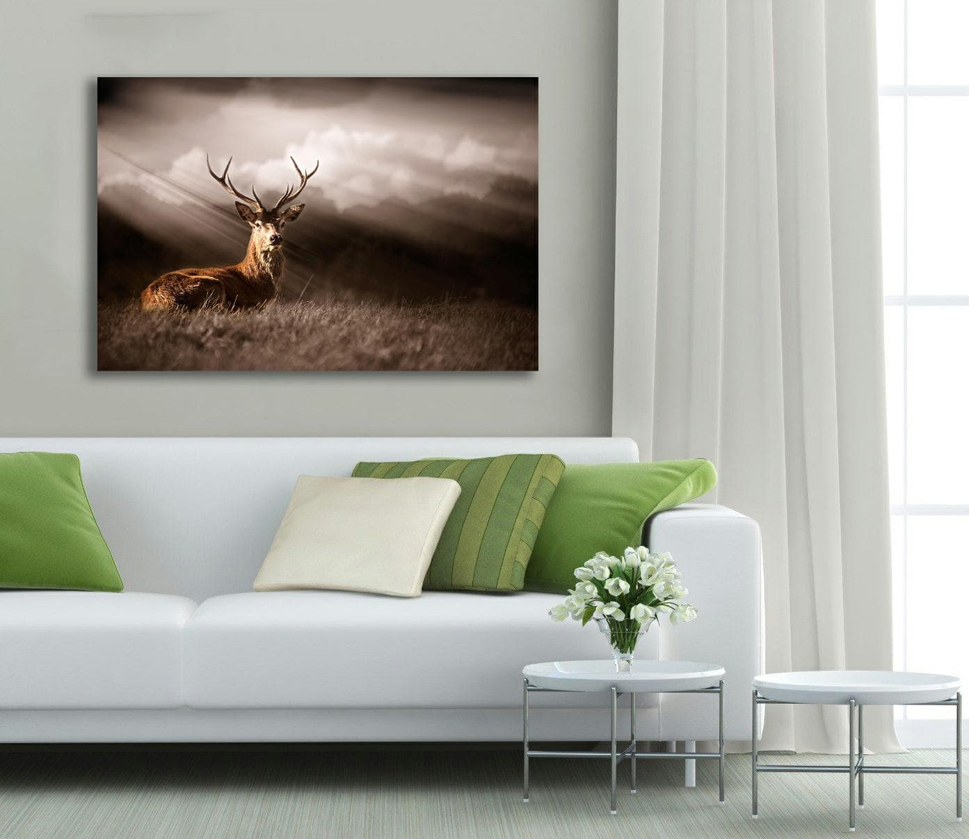 Framed 1 Panel - Stag in the sunlight