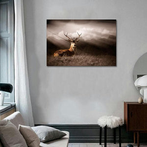 Framed 1 Panel - Stag in the sunlight