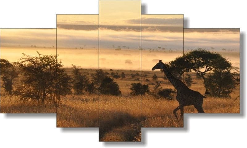 Framed 5 Panels - Africa
