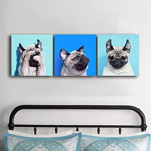 Pine Stretched  Framed 3 Panels - French bulldog