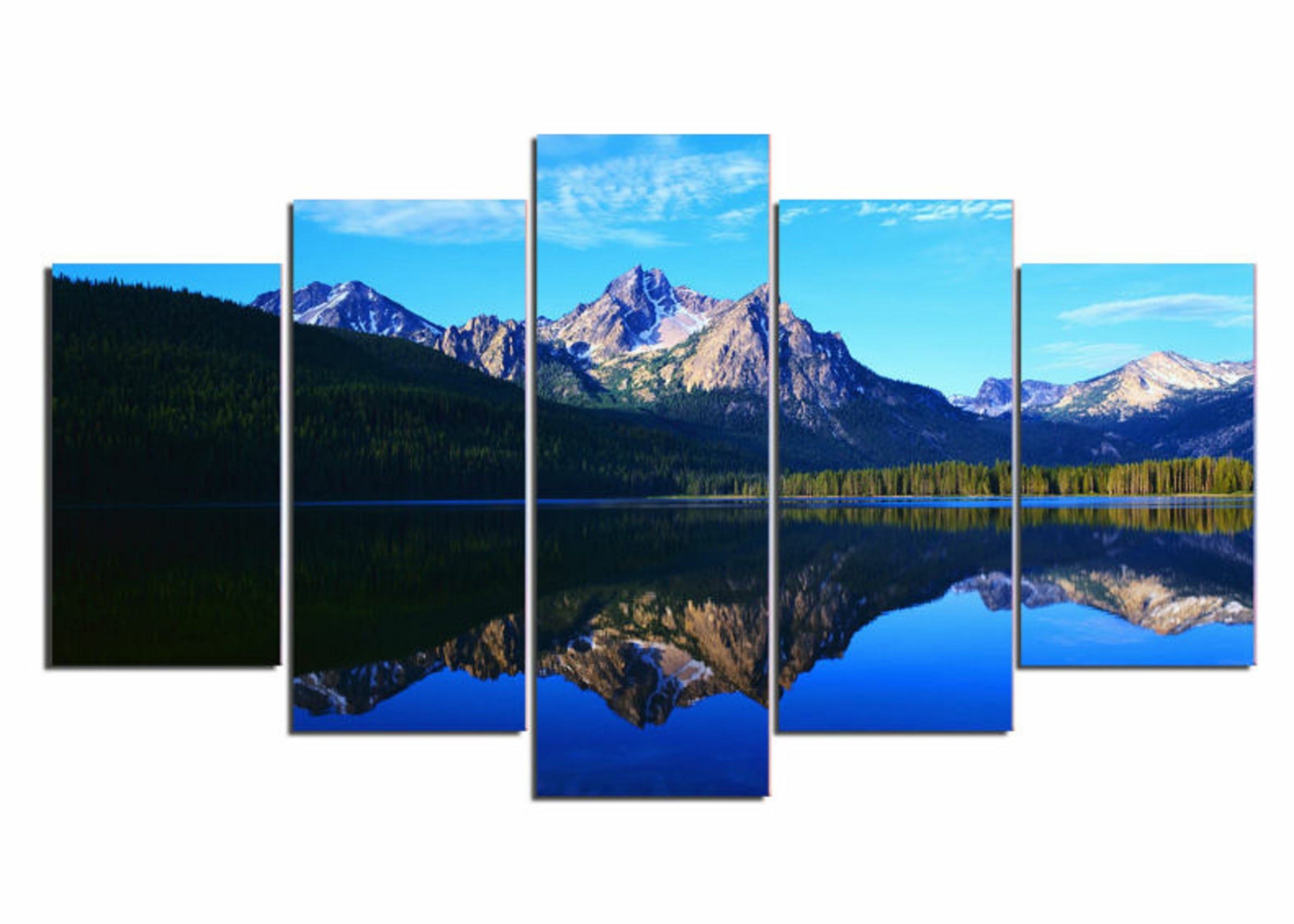 Framed 5 Panels - Landscape