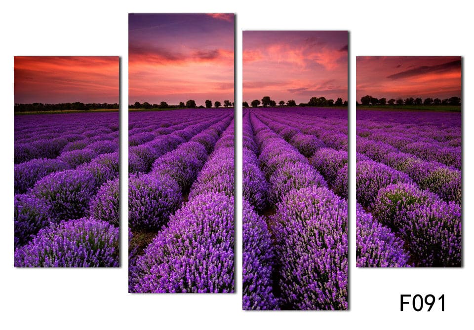 Framed 4 Panels - Lavender