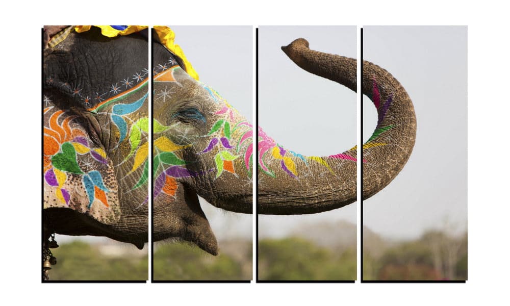Pine Stretched  Framed 4 Panels - Elephant