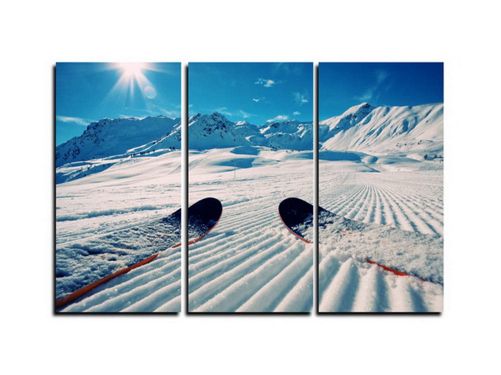 Framed 3 Panels - Skiing