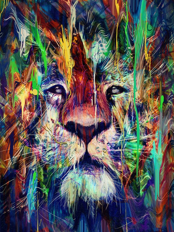 Framed 1 Panel - Lion