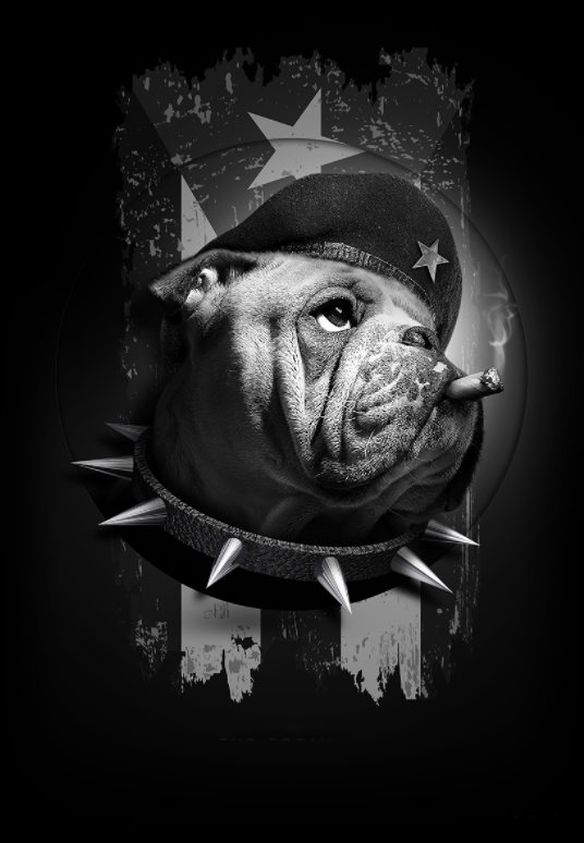 Pine Stretched  Framed 1 Panel - Bull Dog