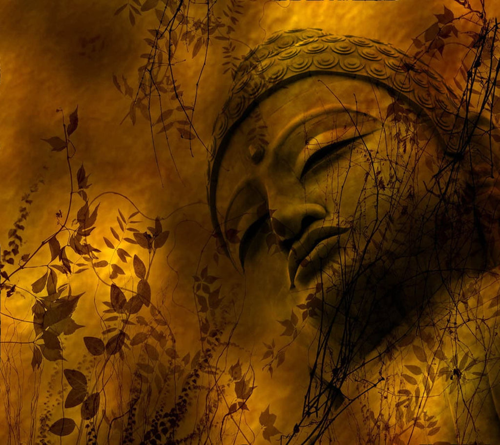 Framed 1 Panel - Buddha