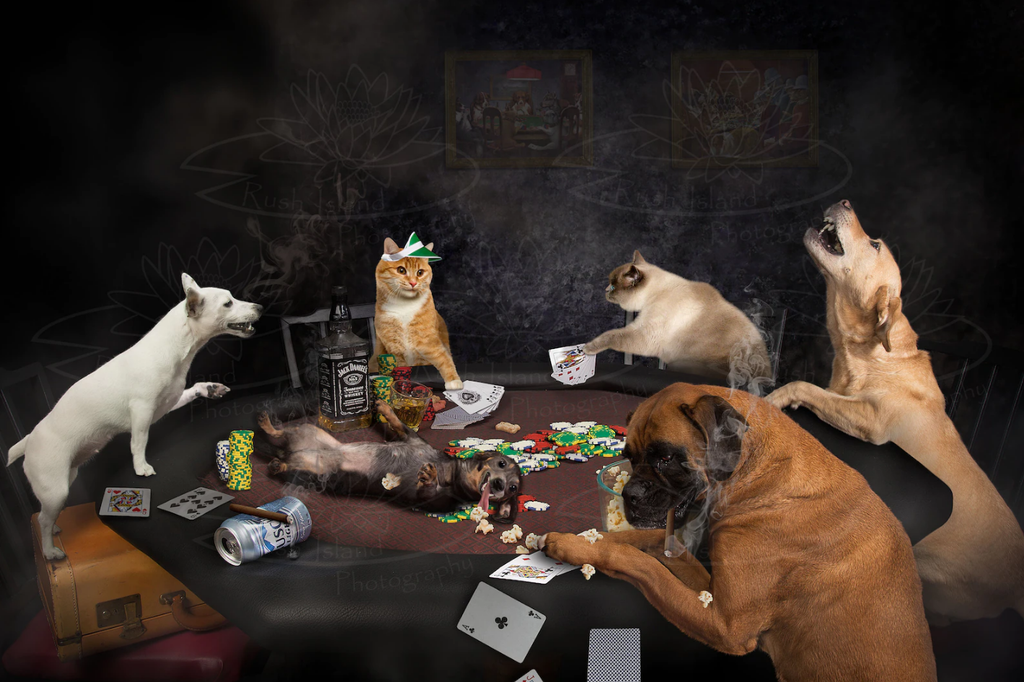 Pine Stretched  Framed 1 Panel - Pets Gambling