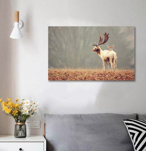 Pine Stretched  Framed 1 Panel - Love