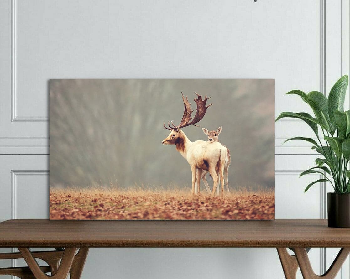 Pine Stretched  Framed 1 Panel - Love