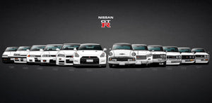 Pine Stretched  Framed 1 Panel - GTR Evolution