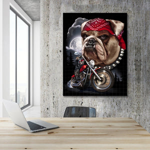 Framed 1 Panel - Bulldog