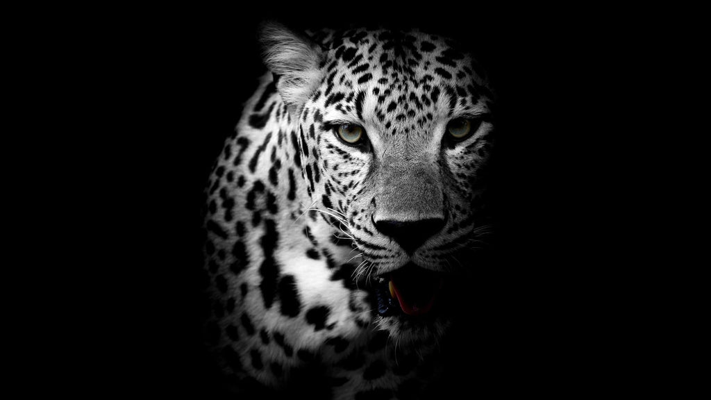 Pine Stretched  Framed 1 Panel - Leopard