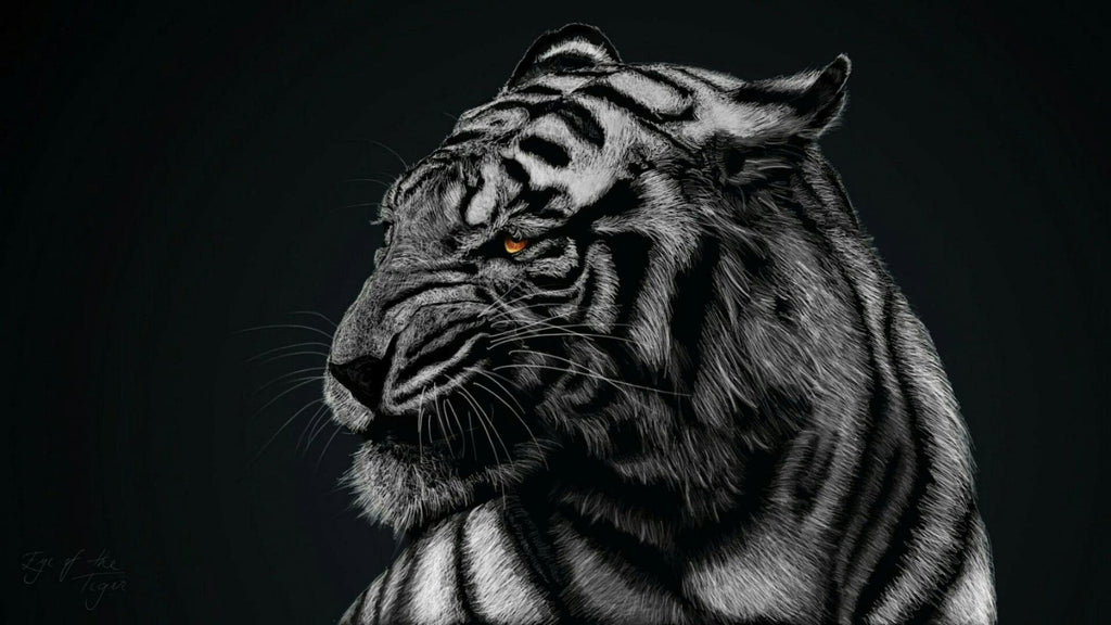 Pine Stretched  Framed 1 Panel - Tiger