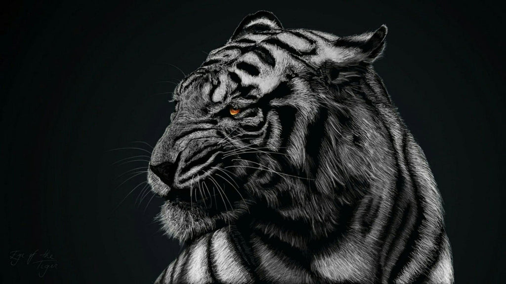 Framed 1 Panel - Tiger