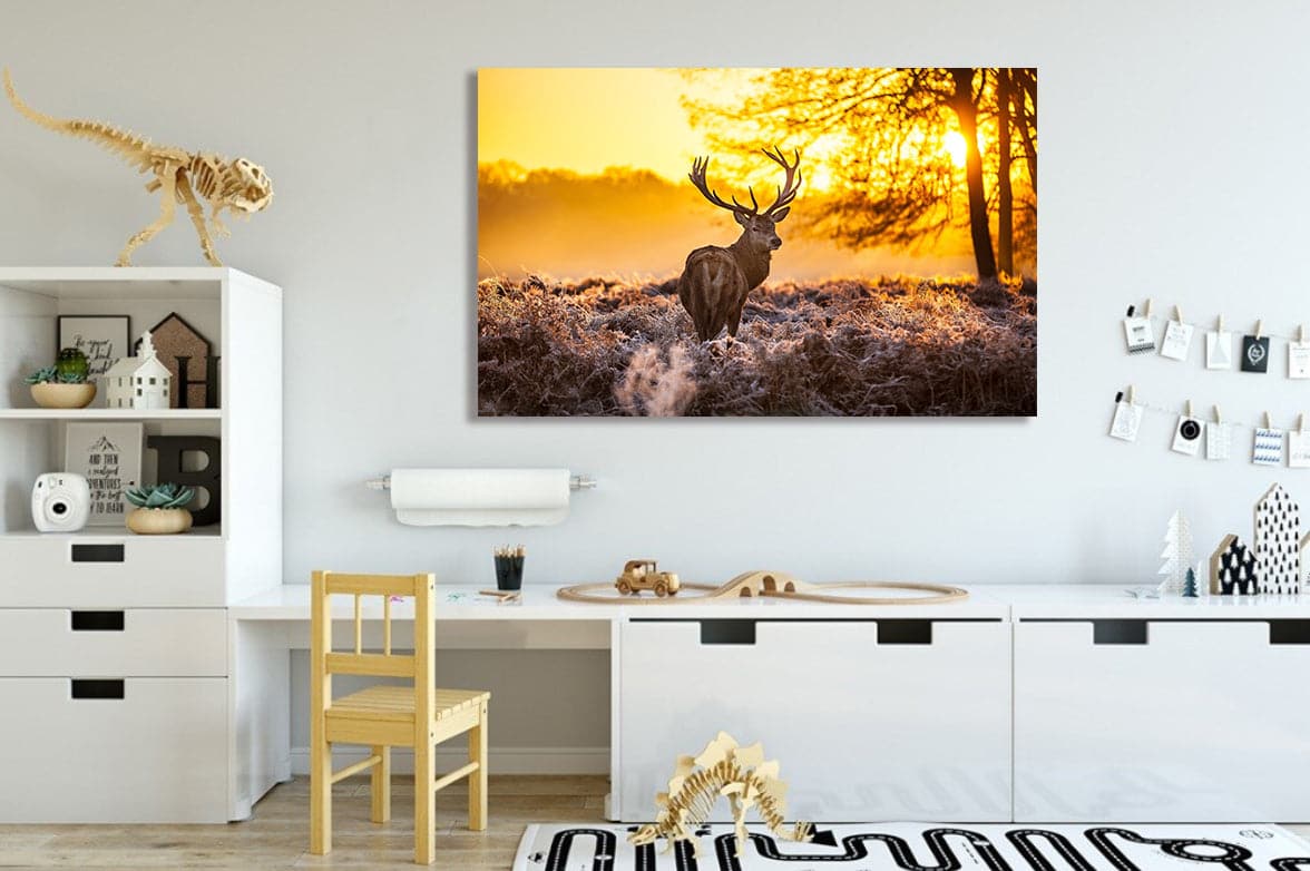 Framed 1 Panel - Deer