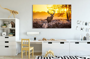 Framed 1 Panel - Deer
