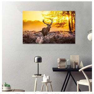 Framed 1 Panel - Deer