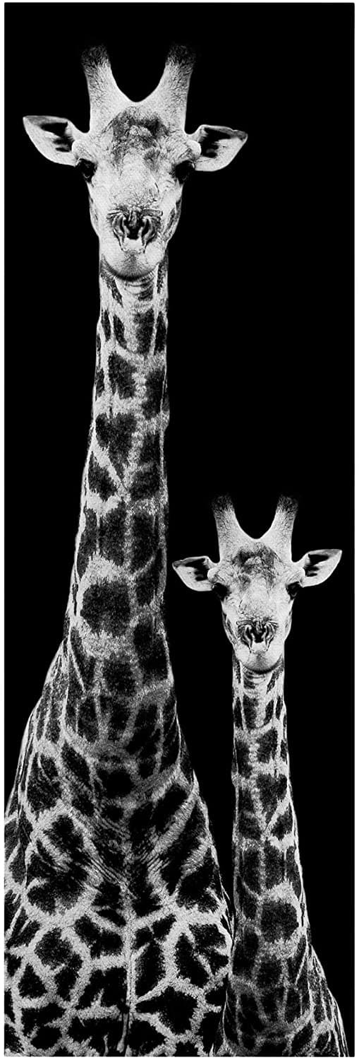 Pine Stretched  Framed 1 Panel - Giraffes