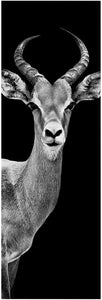 Framed 1 Panel - Goat