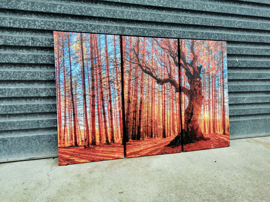 Framed 3 Panels  - Finished Products - Red Wood Frost