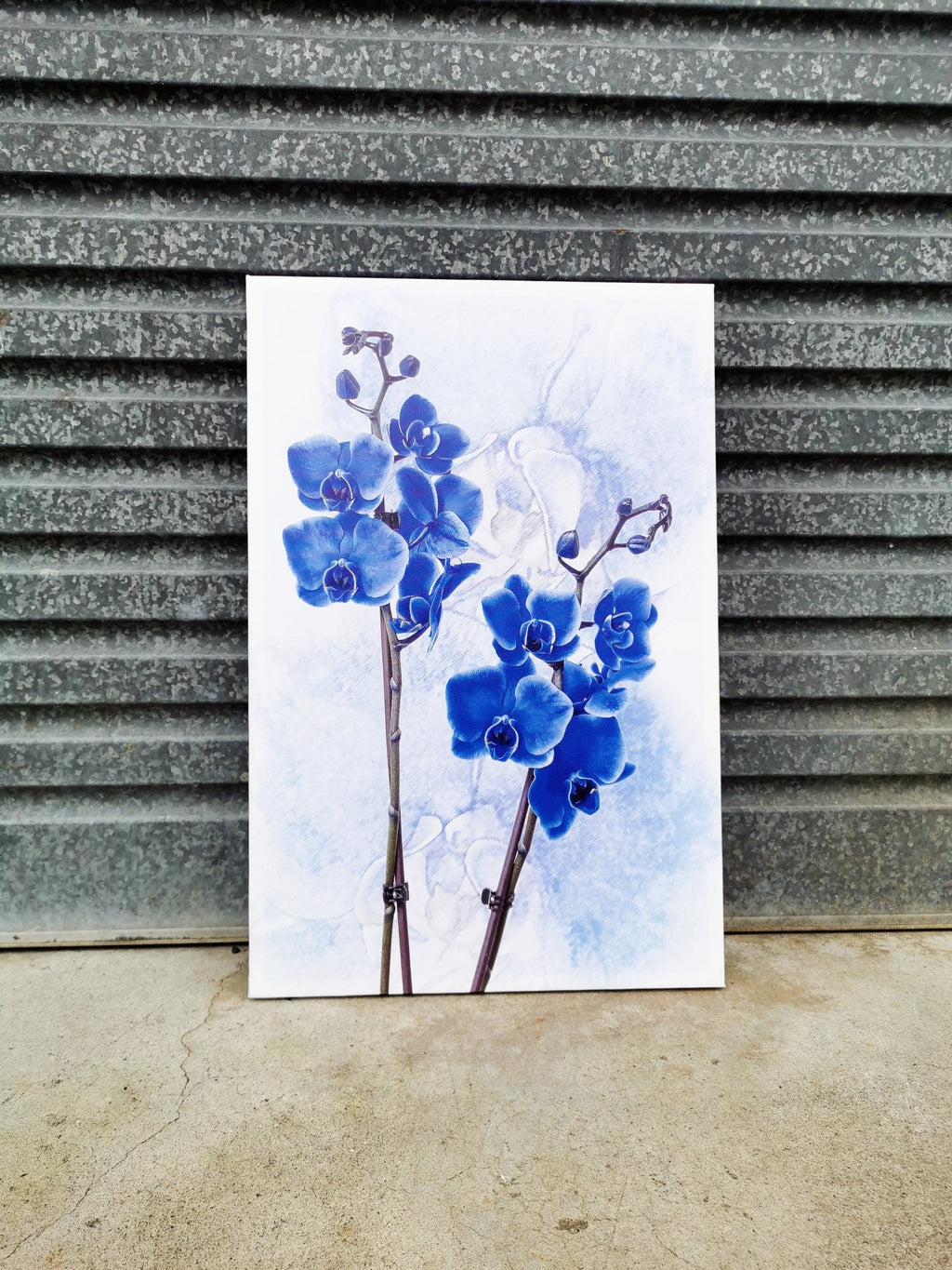 Pine Stretched  Framed 1 Panel - Finished Products - Orchid