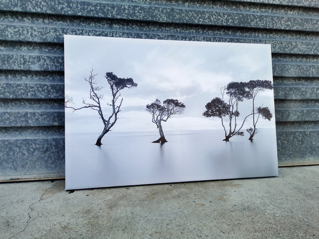 Pine Stretched  Framed 1 Panel - Finished Products - Tree