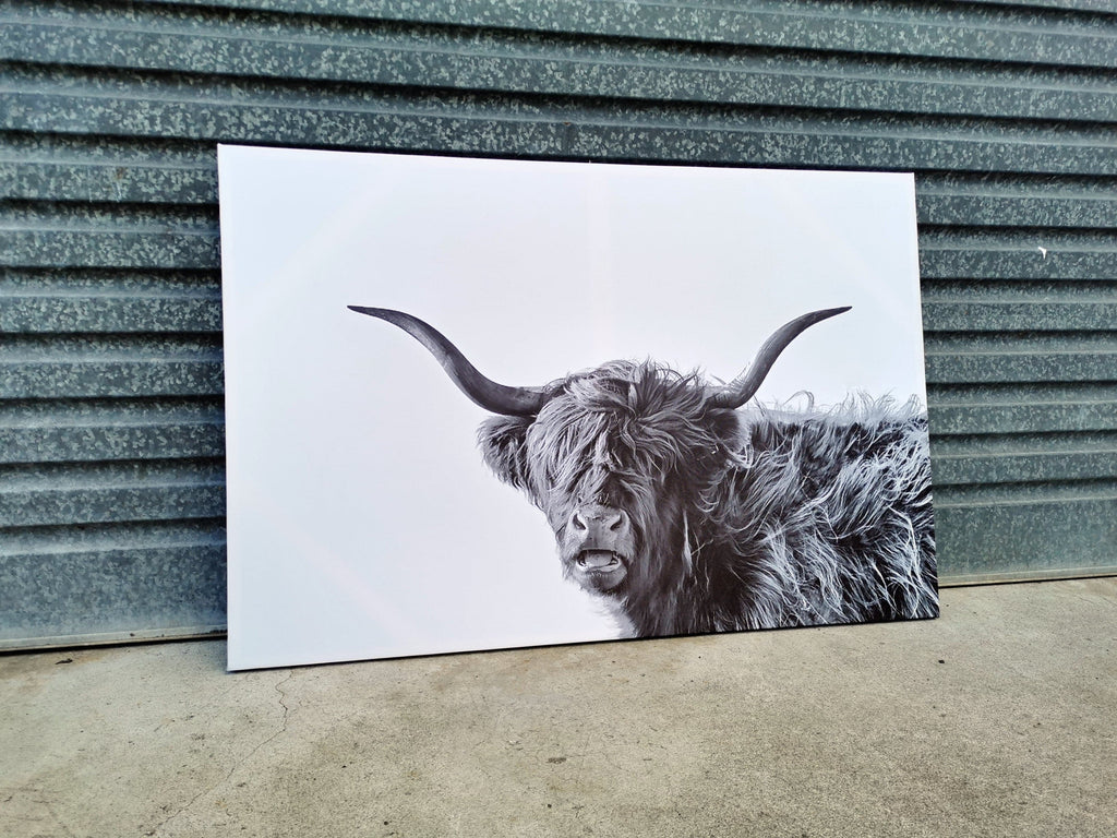 Framed 1 Panel - Finished Products - Highland Cow