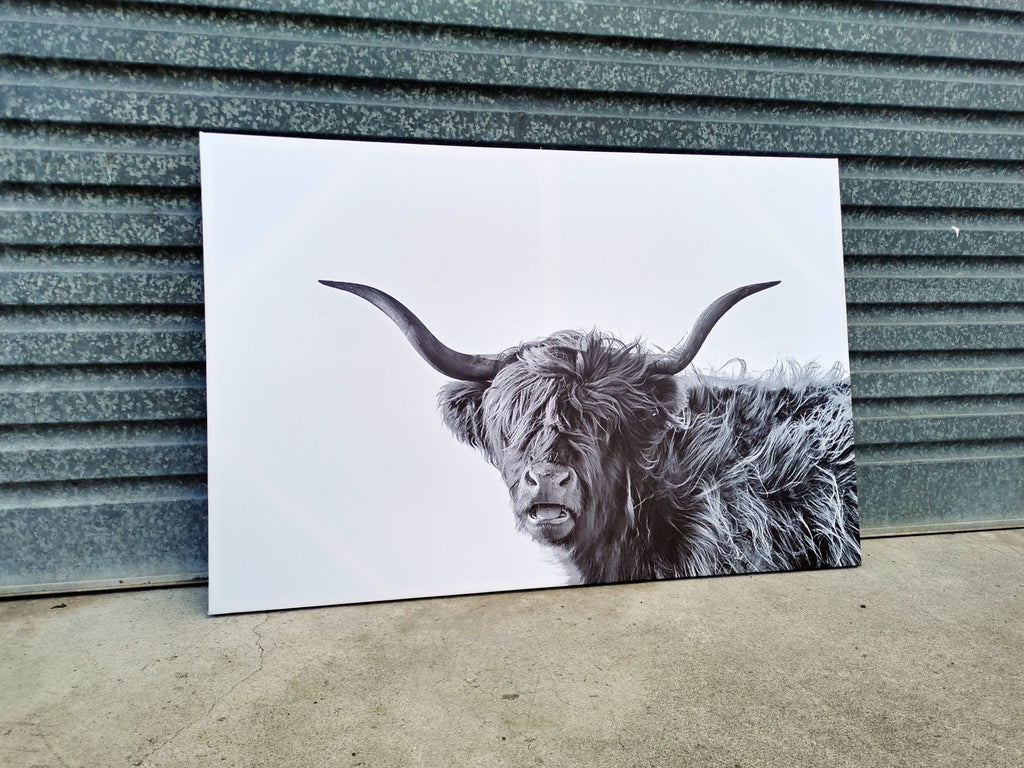 Pine Stretched  Framed 1 Panel - Finished Products - Highland Cow