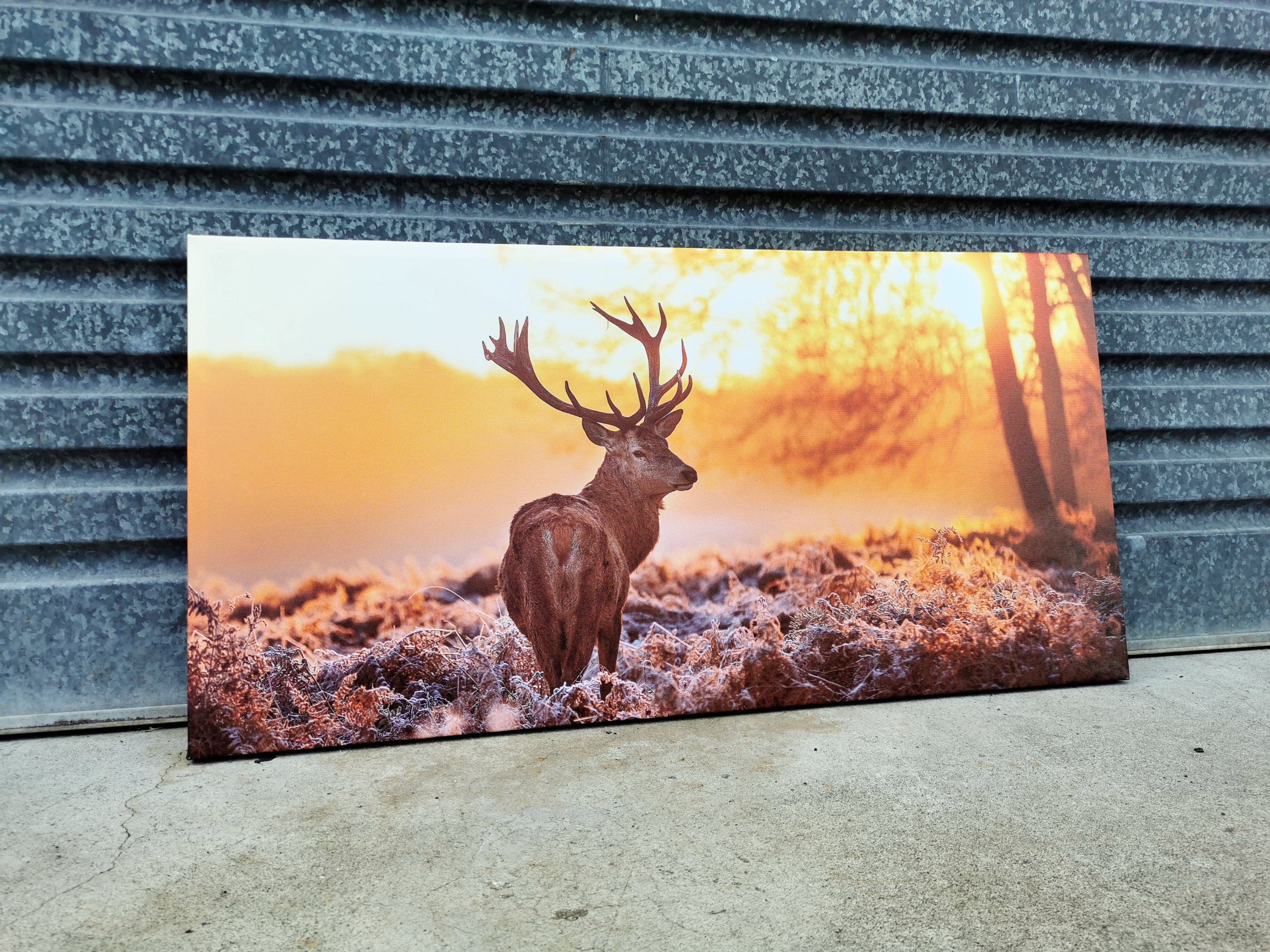 Framed 1 Panel - Deer Art