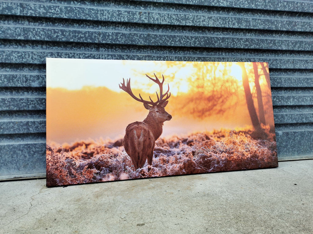Framed 1 Panel - Finished Products - Deer Art