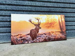 Framed 1 Panel - Deer Art