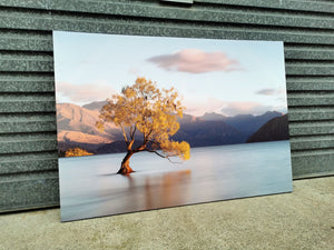 Framed 1 Panel - Finished Products - Lake Wanaka