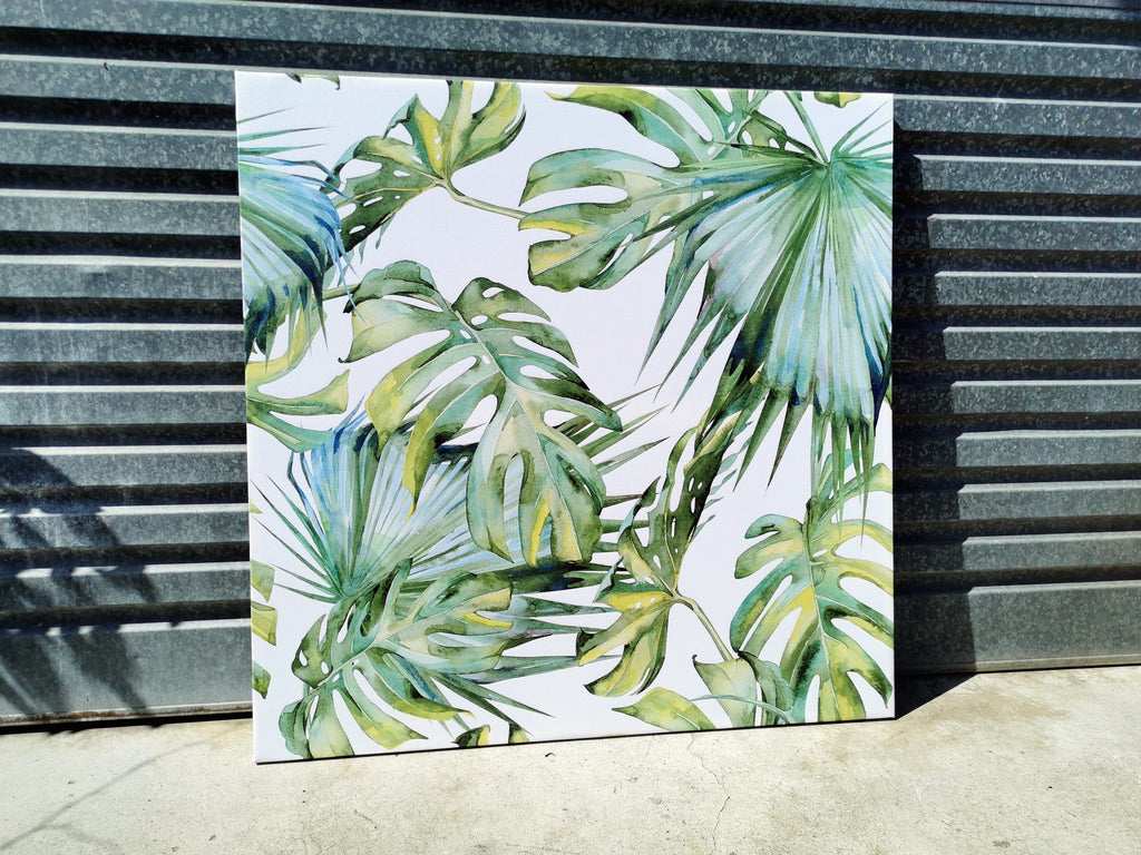 Framed 1 Panel - Finished Products - Monstera deliciosa