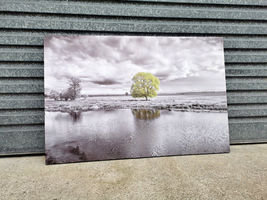 Pine Stretched  Framed 1 Panel - Finished Products -Tree
