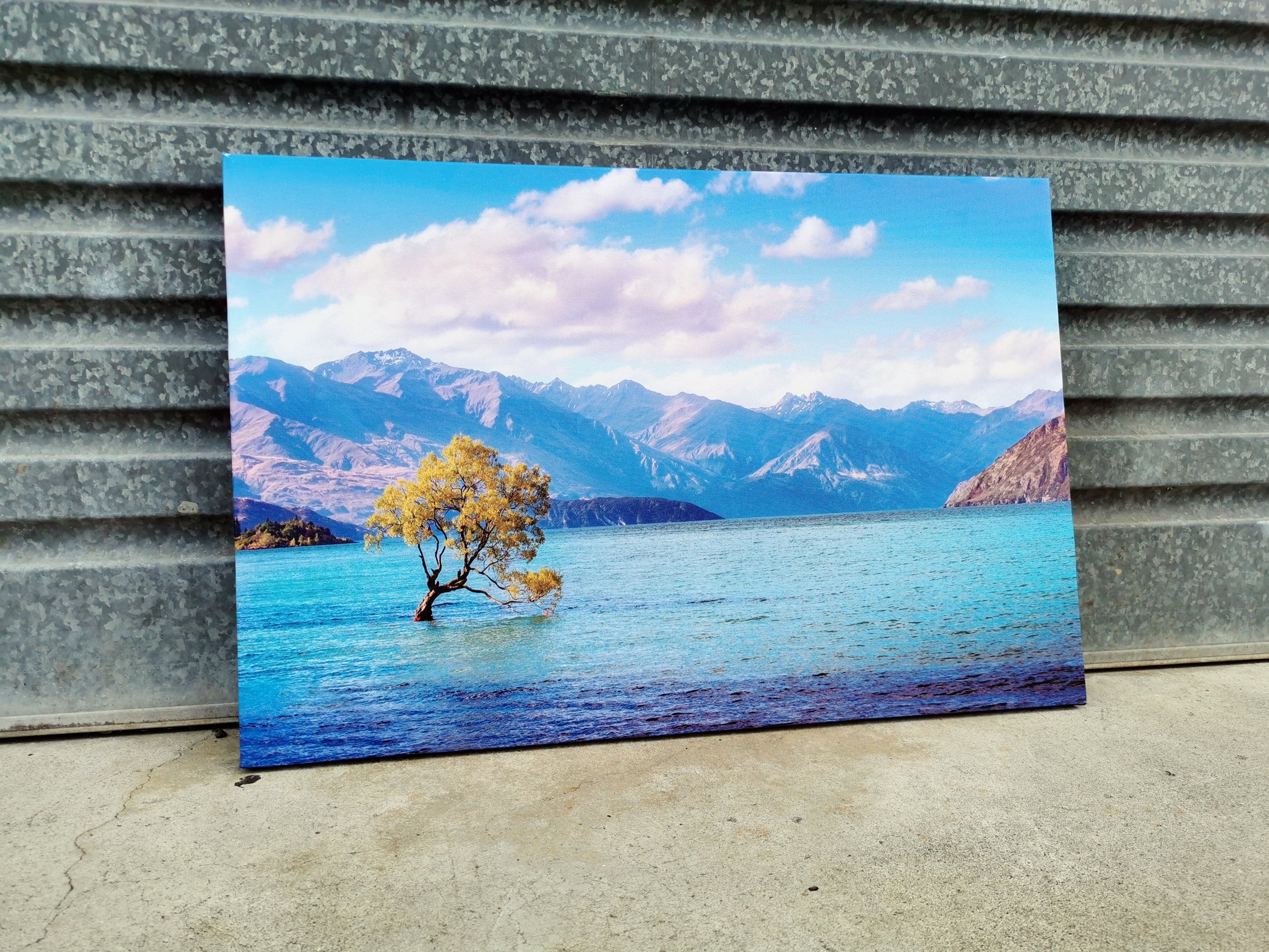 Framed 1 Panel - Lake Wanaka