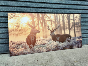 Framed 1 Panel - Red Deer
