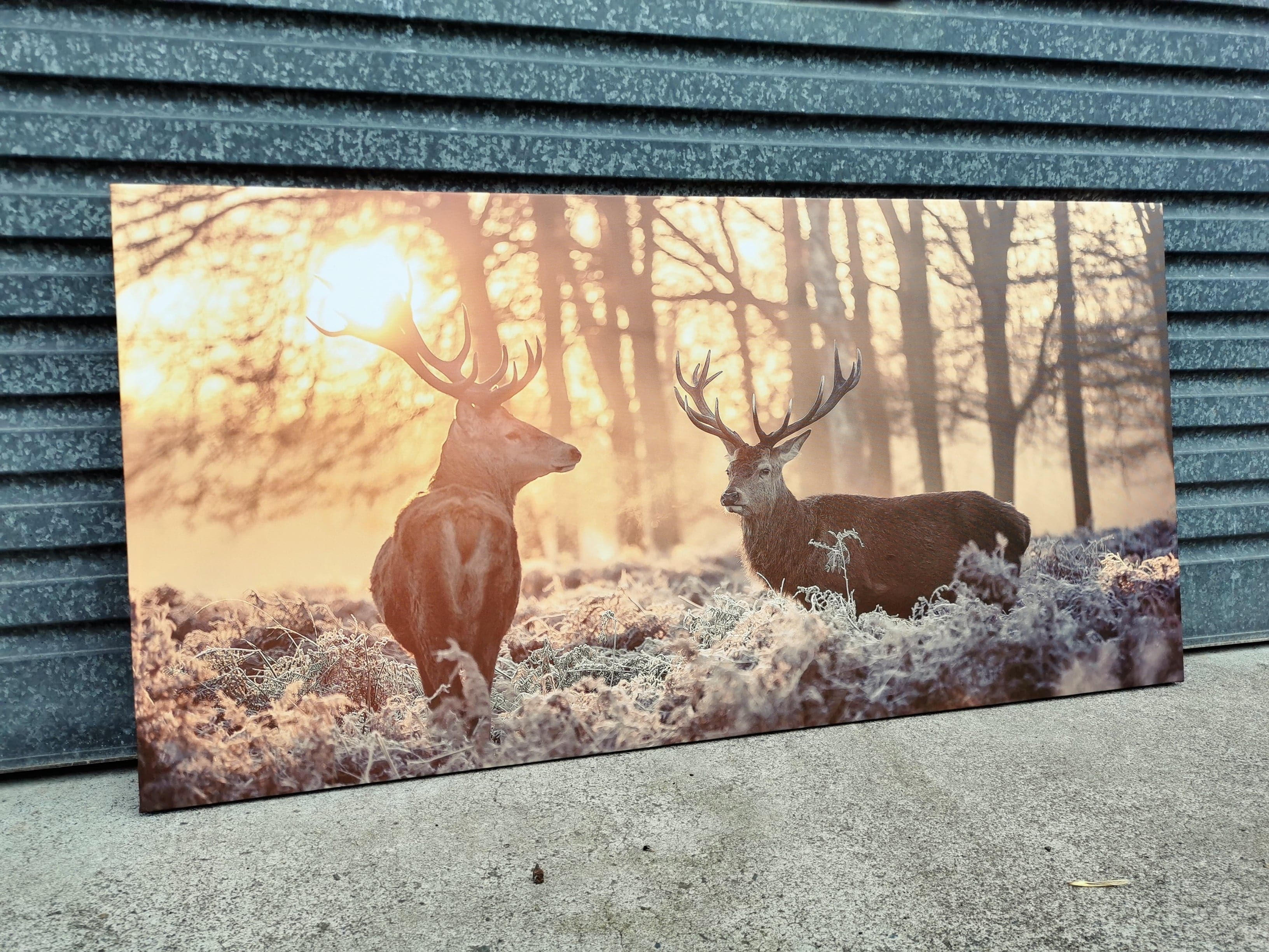 Framed 1 Panel - Finished Products - Red Deer